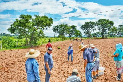 Imagem da notícia Agraer abre processo seletivo para Técnico de Desenvolvimento Rural com vagas em diversos municípios de MS